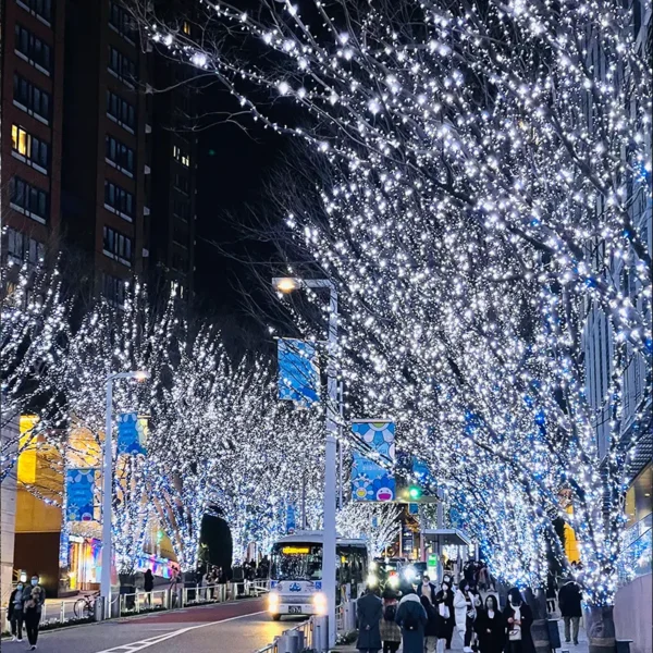 LED bela solarna dekorativna rasveta