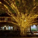 Romantične solarne lampice žute 30m