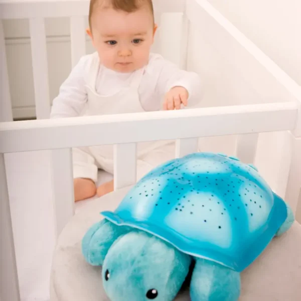 Noćno svetlo kornjača