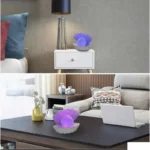 Rgb školjka lampa