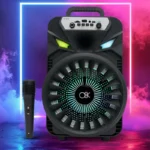 Prenosni bluetooth zvučnik 20w