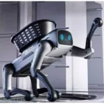 Robot pas sa daljincem